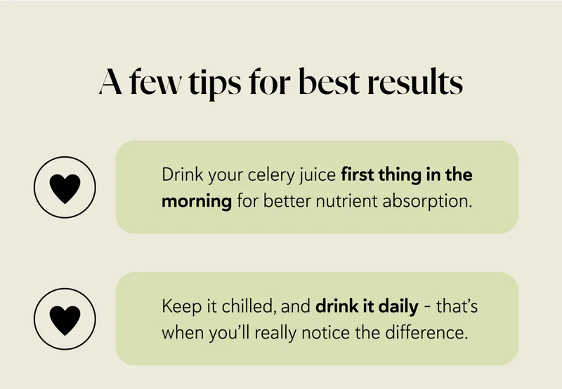 A few tips for best results   Drink your celery juice first thing in the morning for better nutrient absorption.  Keep it chilled, and drink it daily – that’s when you’ll really notice the difference.
