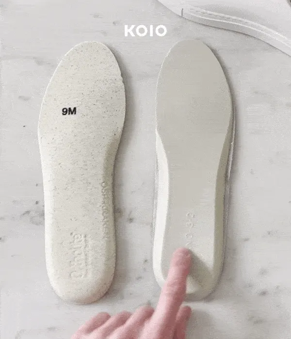 Koio