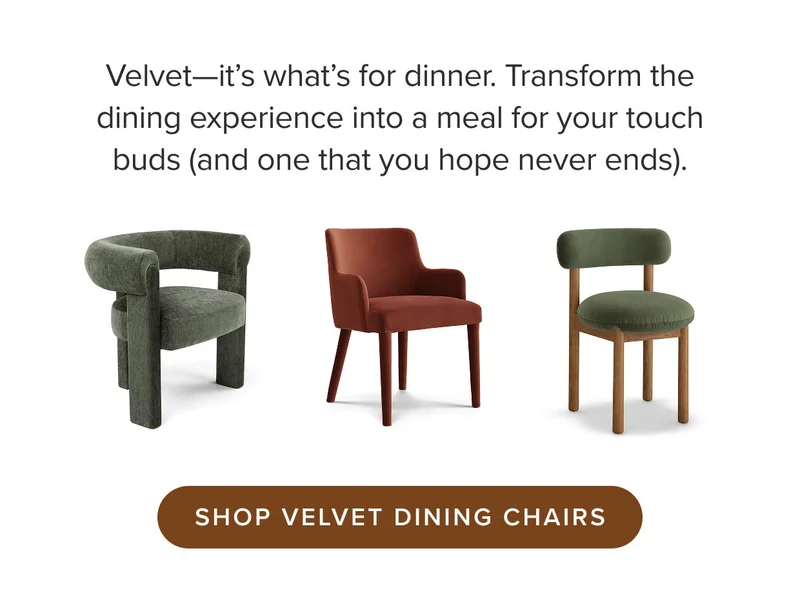 Shop velvet dining chairs.