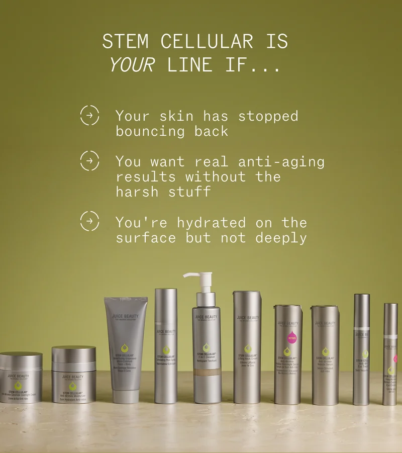 stem cellular