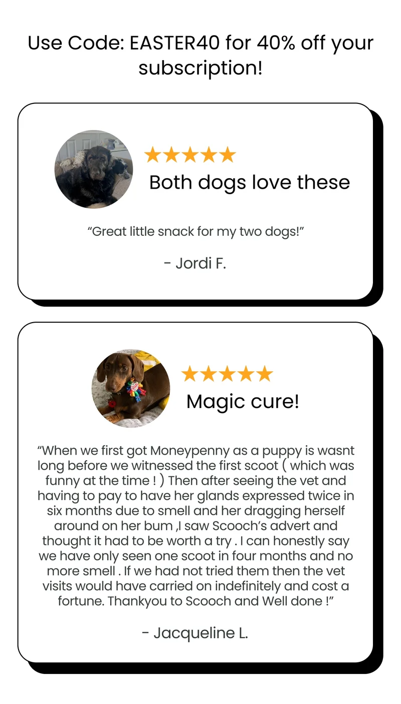 Use code: Easter40 for 40% off your subscription