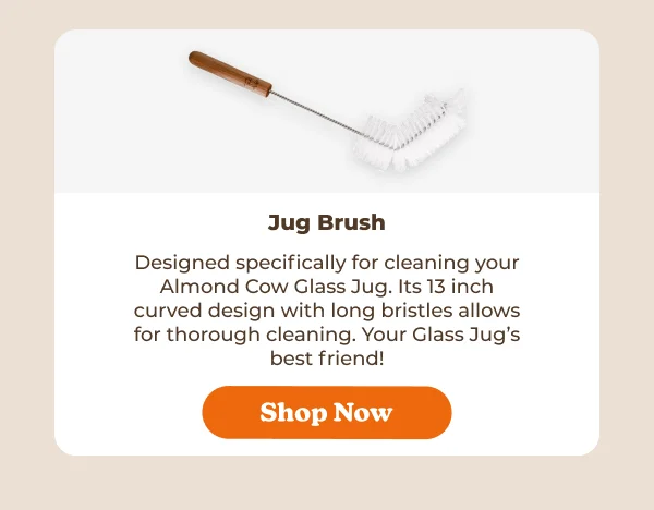Shop Almond Cow Jug Brush