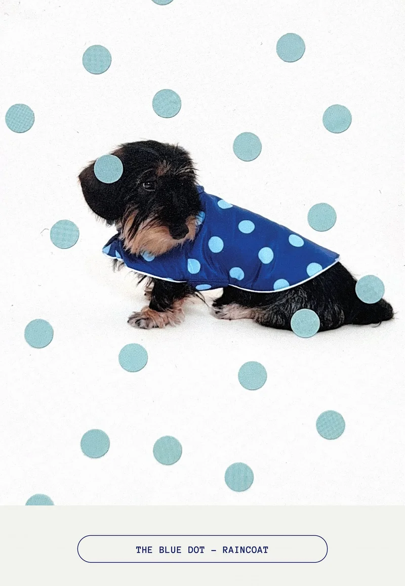 The Blue Dot Raincoat