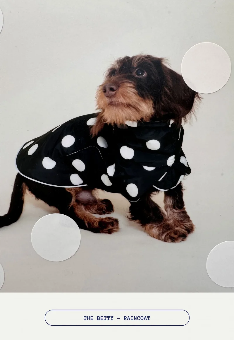 The Betty Raincoat