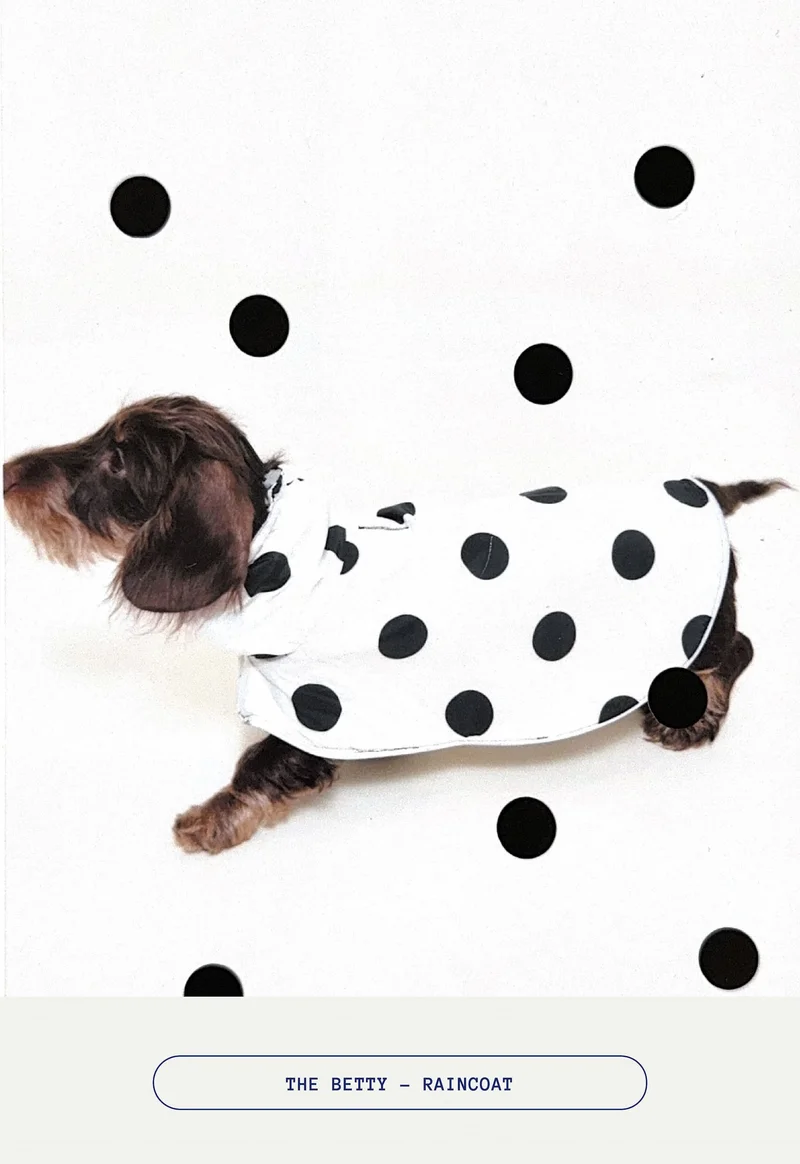 The Betty Raincoat