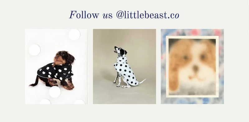 Follow us on Instagram