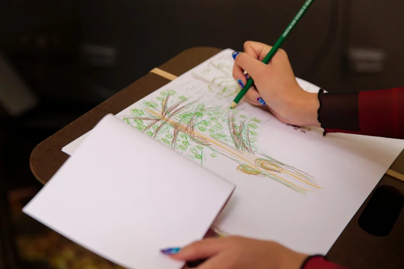 A close-up of someone drawing a tree with colored pencils