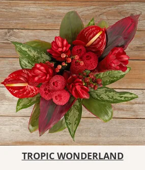 Flowers At a Great Price
