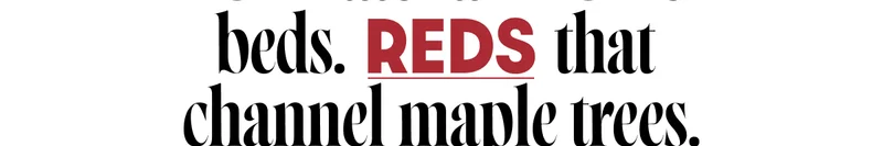 Reds