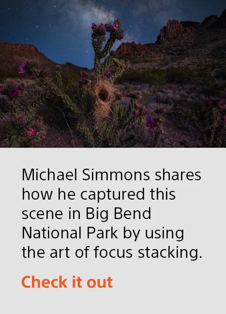 Michael Simmons shares how he captured this scene in Big Bend National Park by using the art of focus stacking. | Check it out