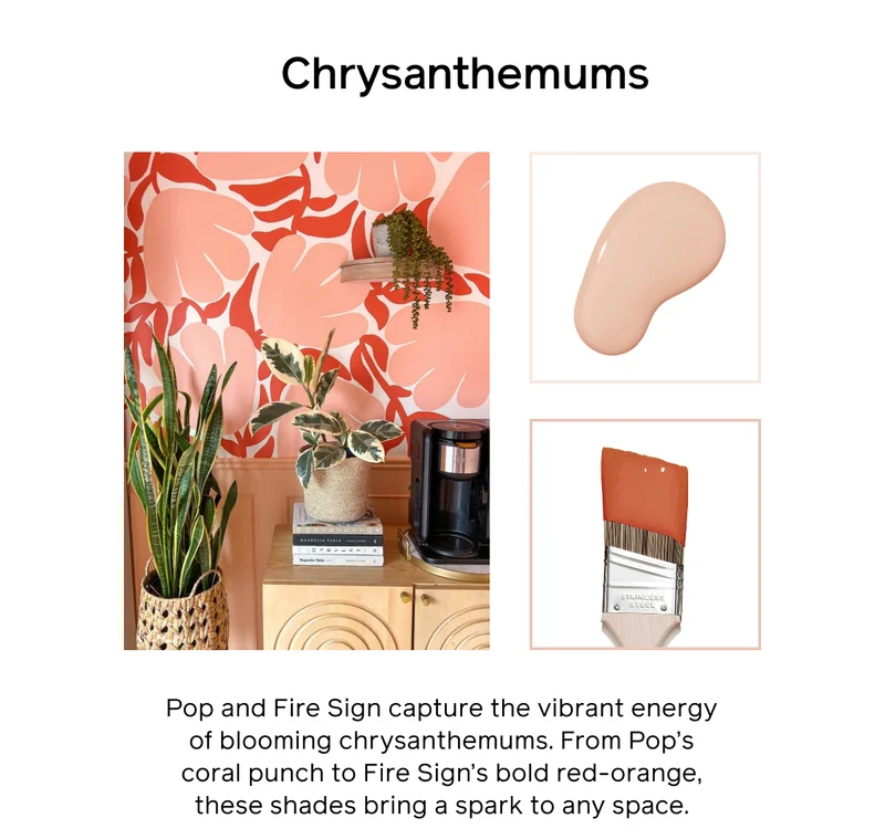 Chrysanthemums. Pop and Fire Sign capture the vibrant energy of blooming chrysanthemums. From Pop's coral punch to Fire Sign's bold red-orange, these shades bring a spark to any space.