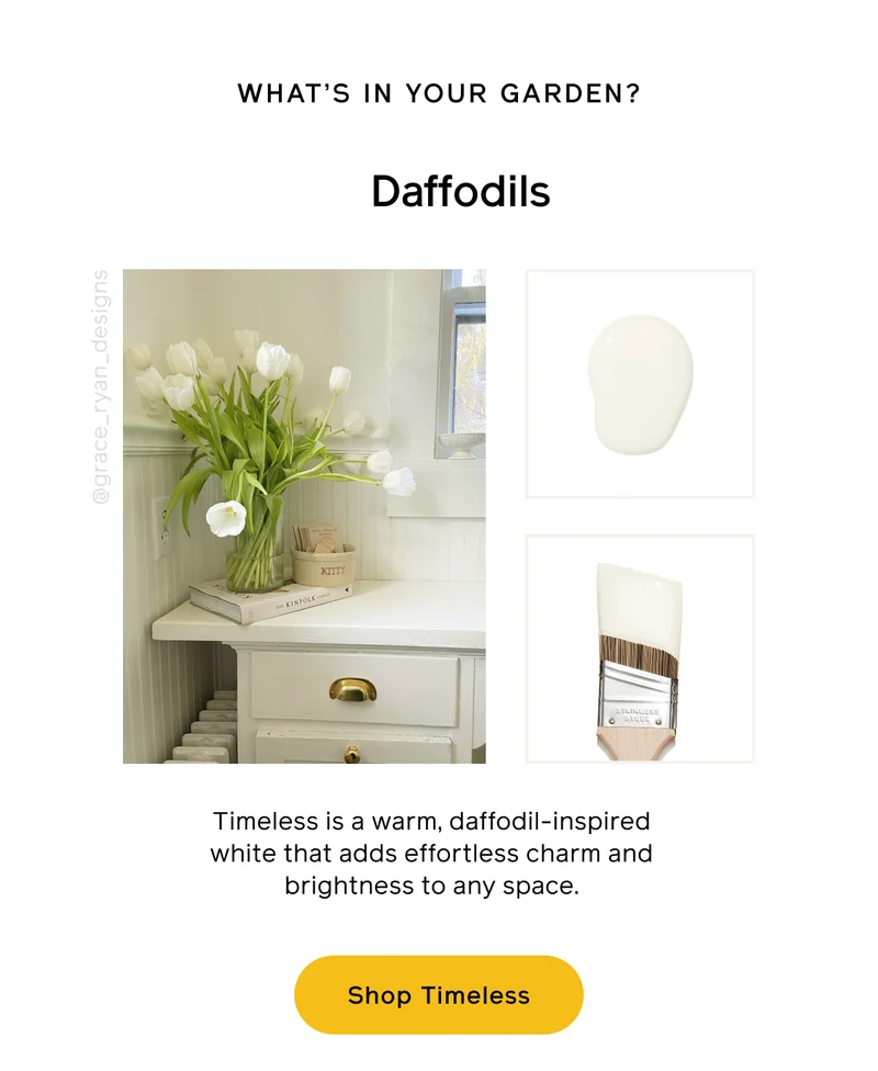 WHAT'S IN YOUR GARDEN? Daffodils. Timeless is a warm, daffodil-inspired white that adds effortless charm and brightness to any space. Shop Timeless