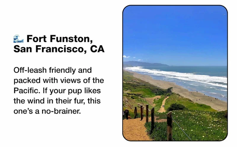 🌊 Fort Funston, San Francisco, CA