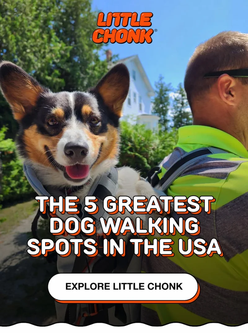 The 5 GREATEST dog walking spots in the USA