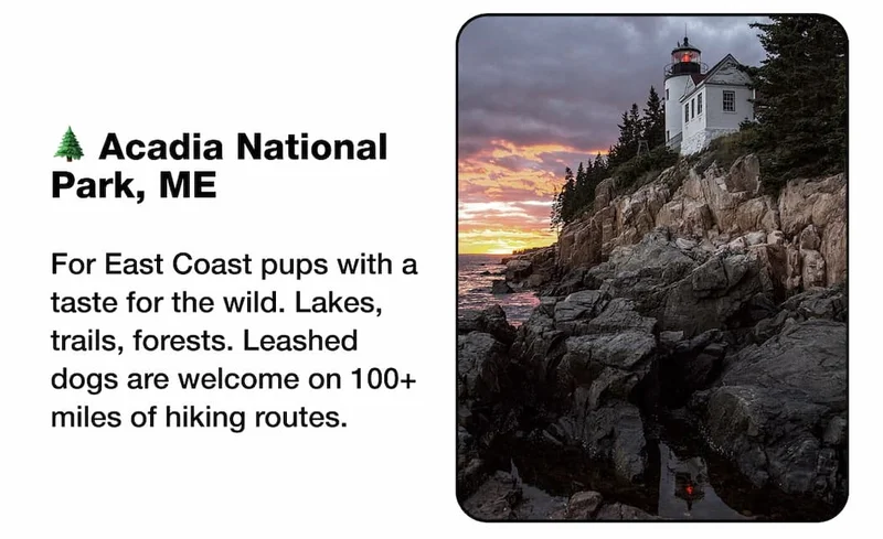 🌲 Acadia National Park, ME