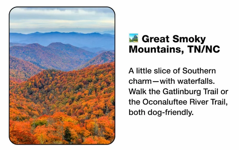 🏞️ Great Smoky Mountains, TN/NC