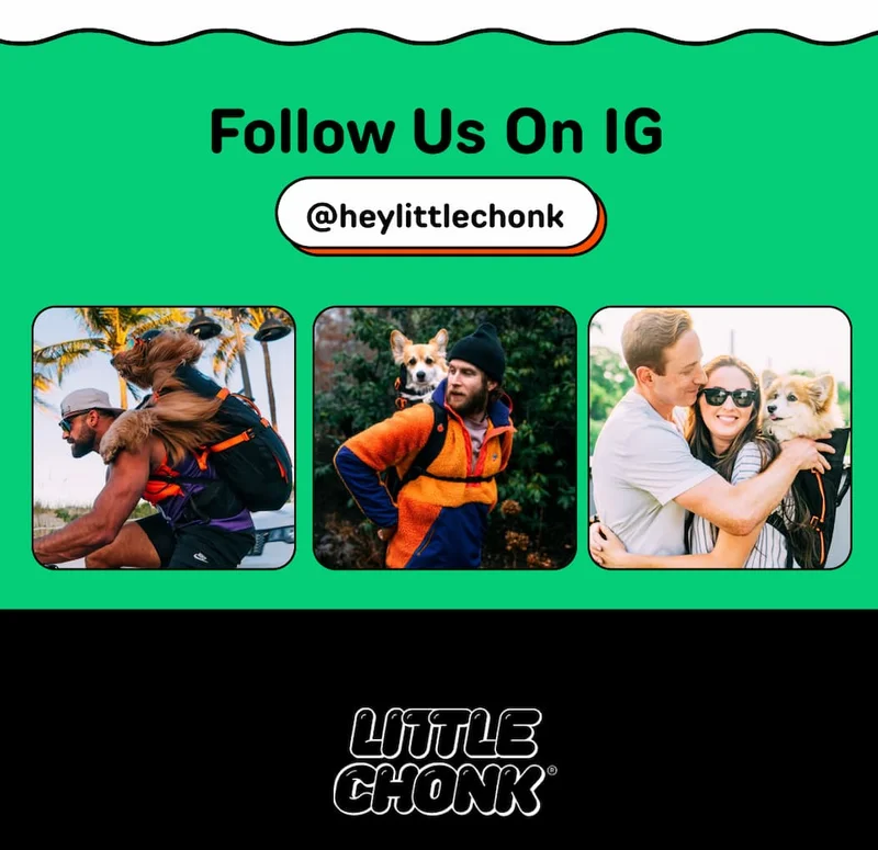Follow us on IG