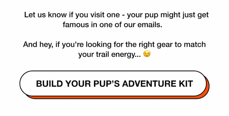 Build Your Pup’s Adventure Kit