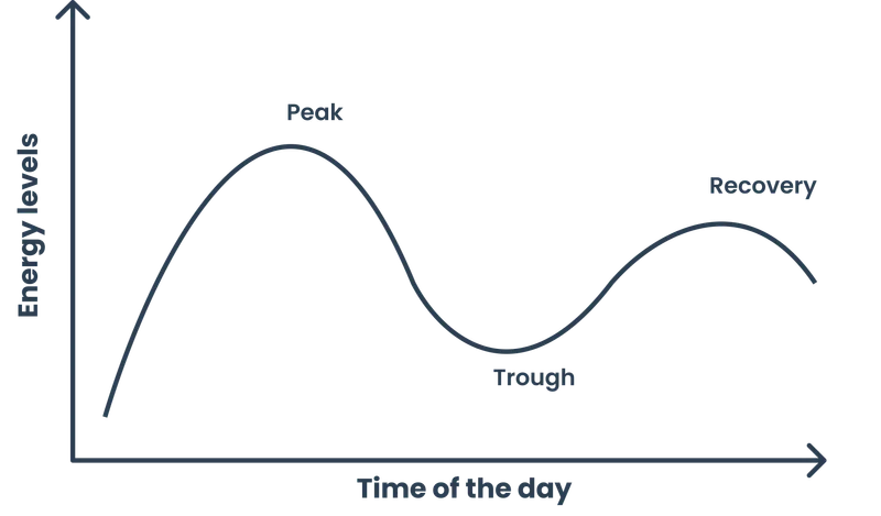 Energy levels throughout the day...