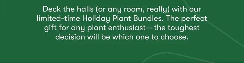 Deck the halls (or any room, really) with our limited-time Holiday Plant Bundles. The perfect gift for any plant enthusiast—the toughest decision will be which one to choose.