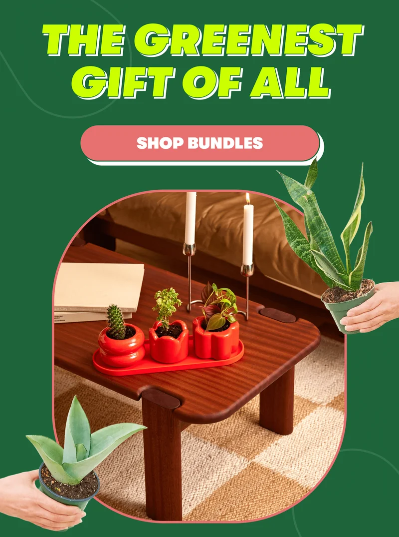 The Greenest Gift of All [SHOP BUNDLES]