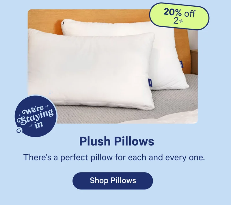 Plush Pillows; There's a perfect pillow for each and every one.