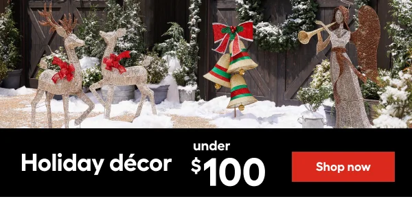 Holiday decor under $100