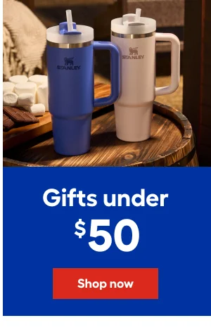 Gifts under $50