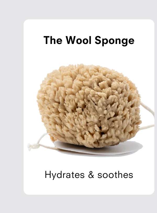The wool sponge