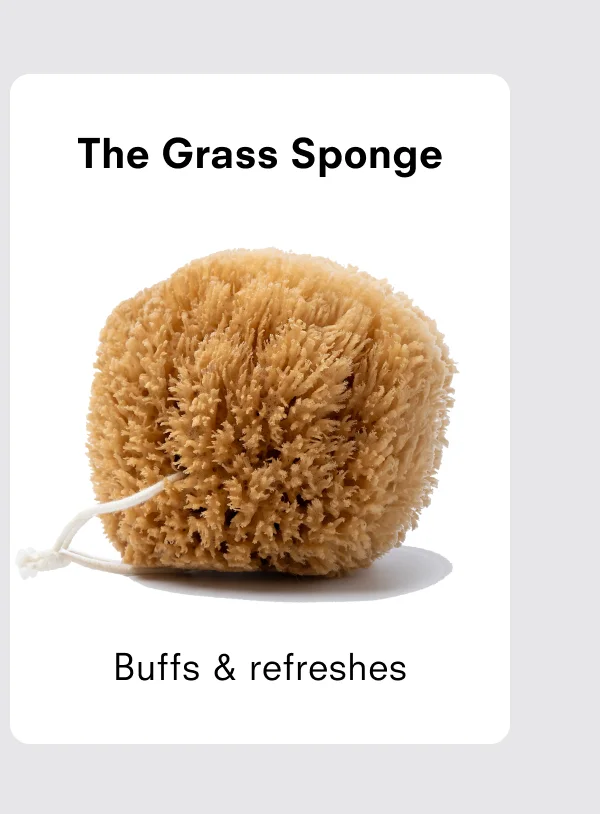 The grass Sponge