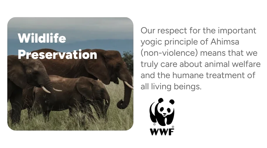 Wildlife Preservation