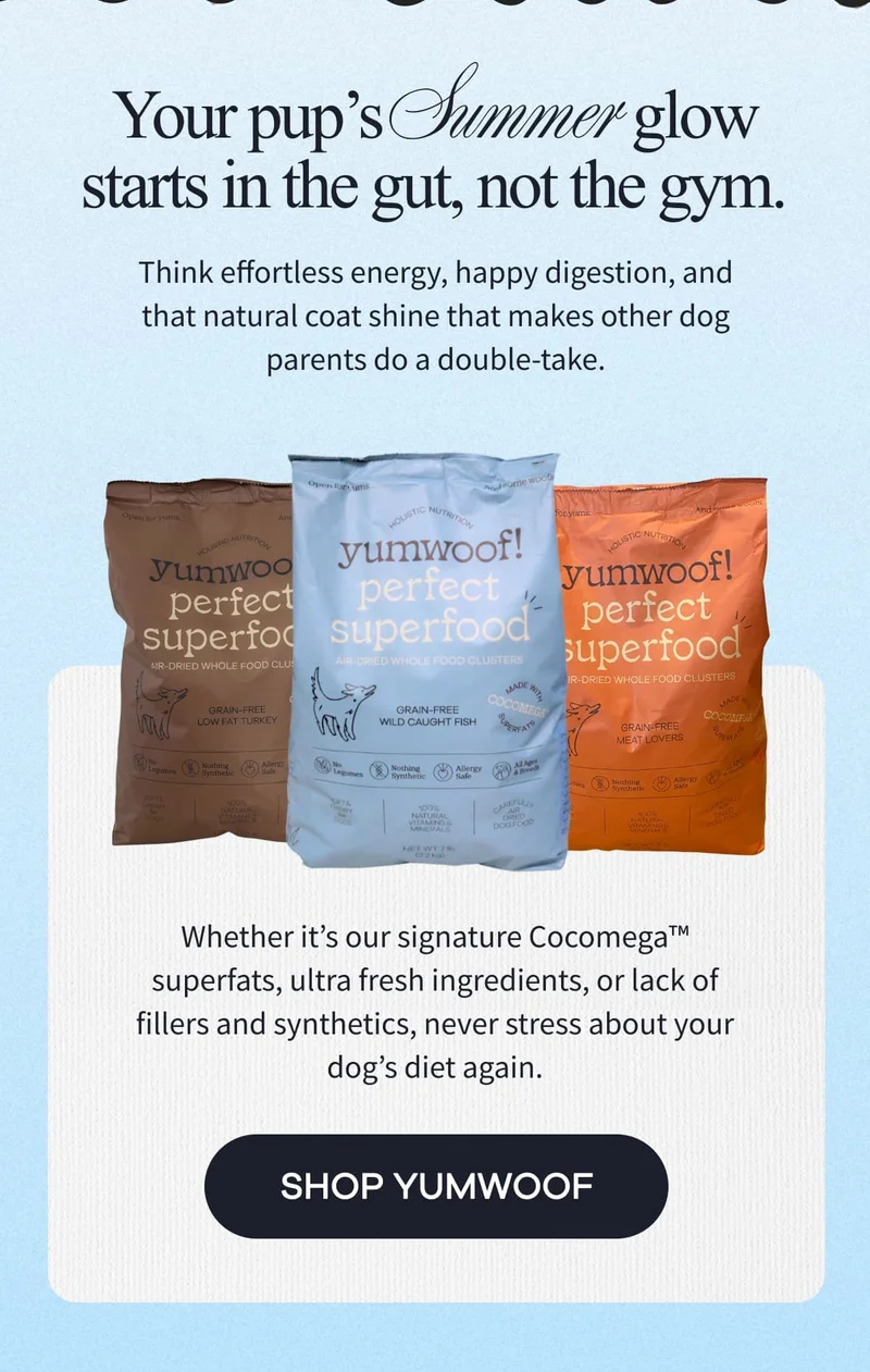 Your pup’s Summer glow starts in the gut, not the gym. | Think effortless energy, happy digestion, and that natural coat shine that makes other dog parents do a double-take. | Whether it’s our signature Cocomega™ superfats, ultra fresh ingredients, or lack of fillers and synthetics, never stress about your dog’s diet again. | SHOP YUMWOOF