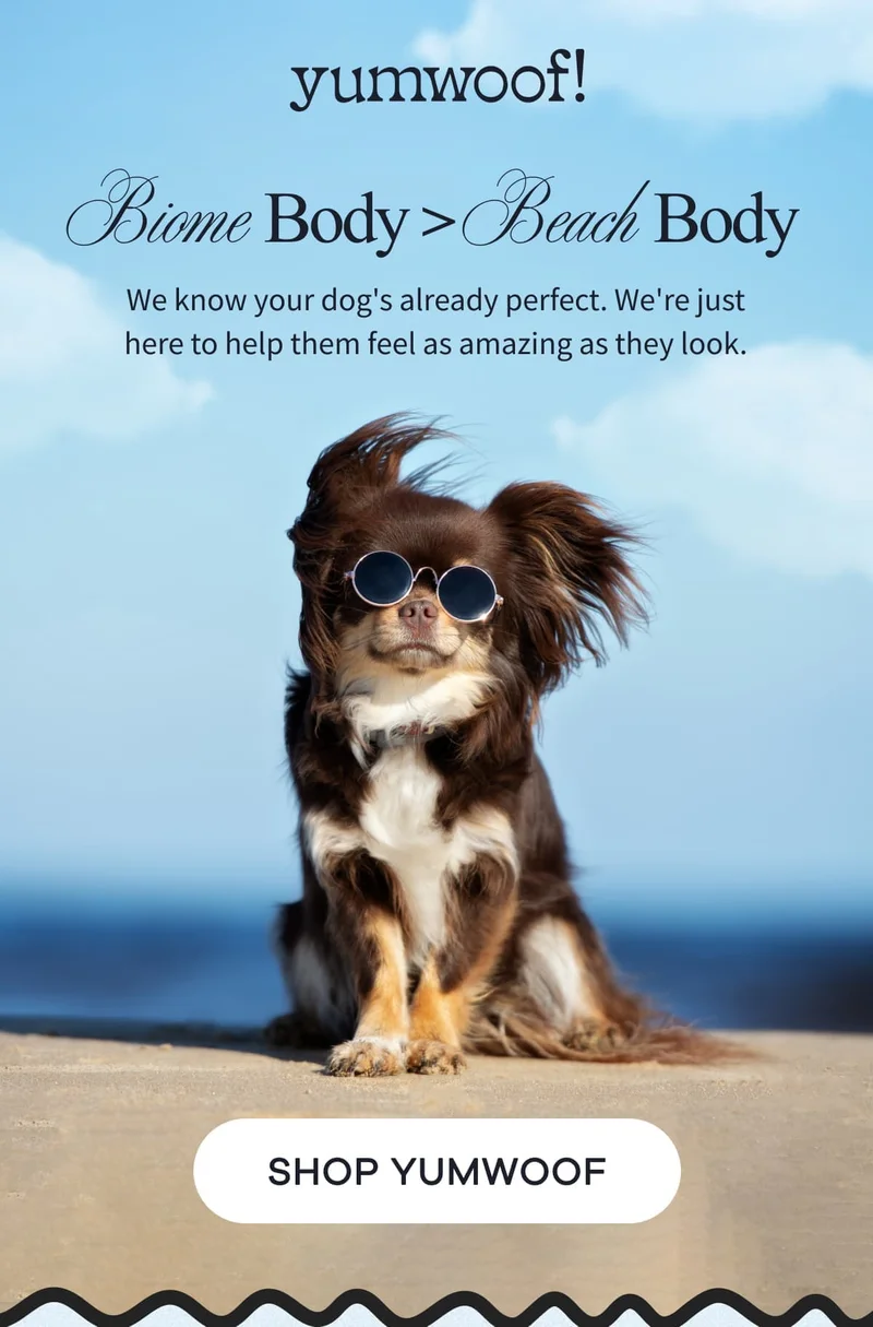 yumwoof! | Biome Body > Beach Body We know your dog's already perfect. We're just here to help them feel as amazing as they look. | shop yumwoof