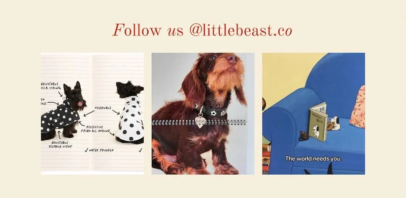 Follow us on Instagram