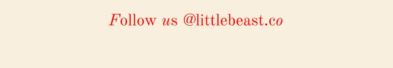 Follow us on Instagram