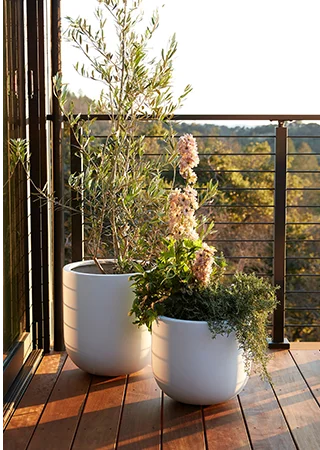 planters