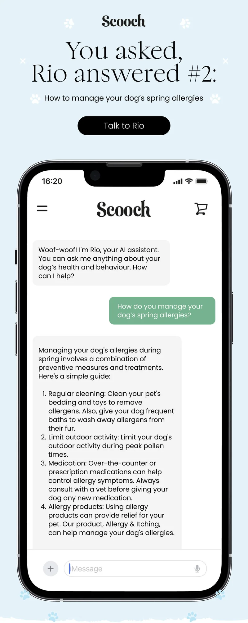 You asked, Rio answered #2 - Talk to Rio