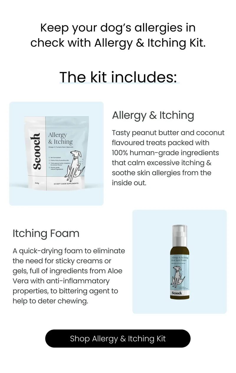 Keep your dog's allergy in check - Shop Allergy & Itching Kit