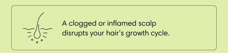 A clogged or inflamed scalp disrupts your hair’s growth cycle.