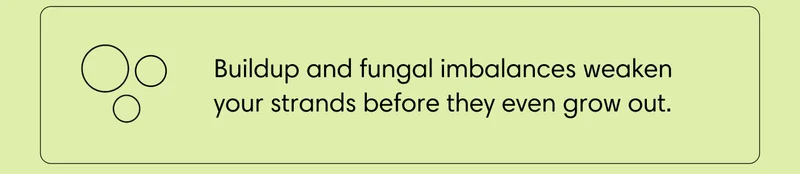 Buildup and fungal imbalances weaken your strands before they even grow out.