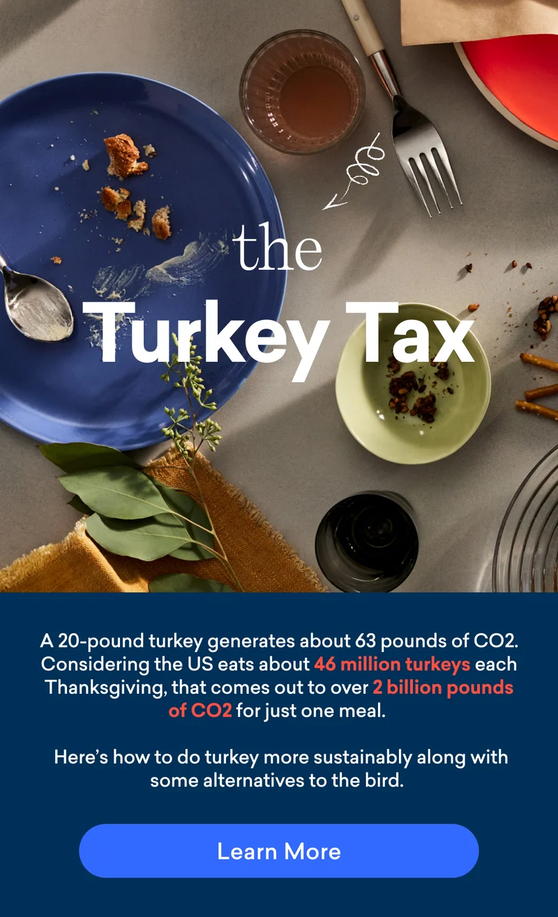 Learn about the Turkey Tax