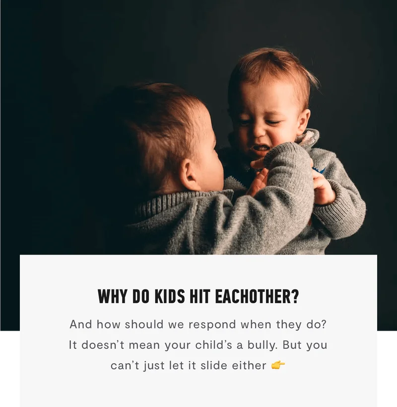 Why Do Kids Hit Eachother?