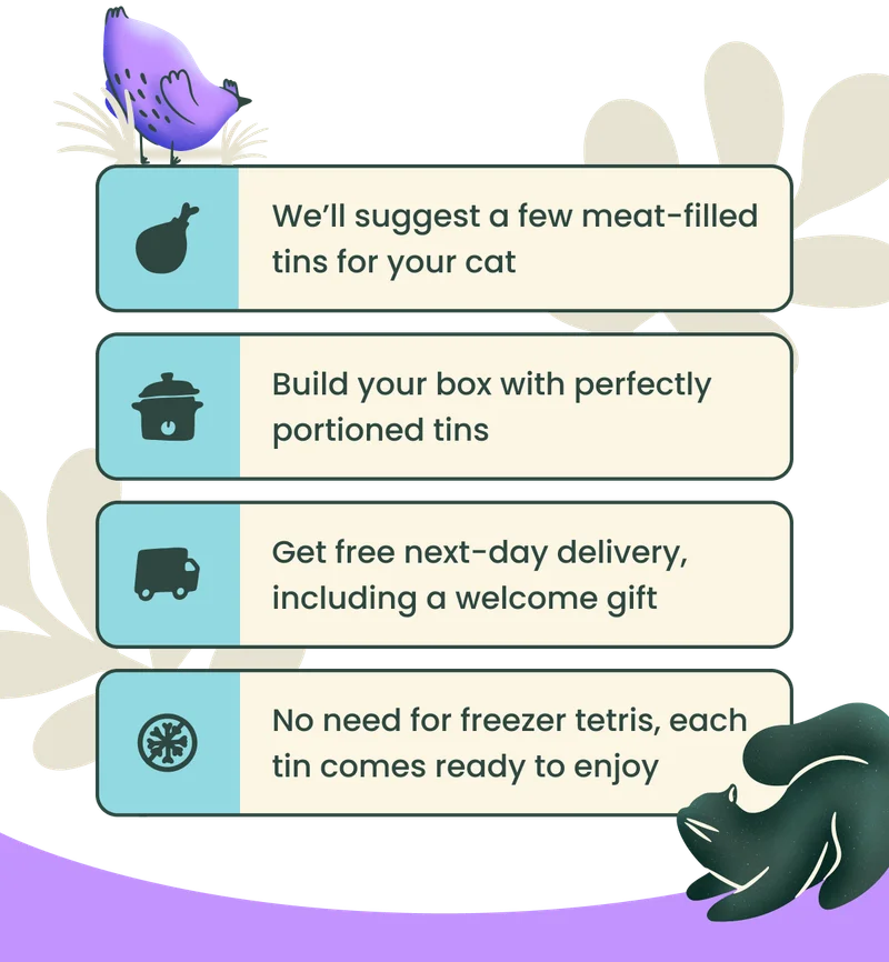 We’ll suggest a few meat-filled tins for your cat, Build your box with perfectly portioned tins, Get free next-day delivery, including a welcome gift, No need for freezer tetris, each tin comes ready to enjoy