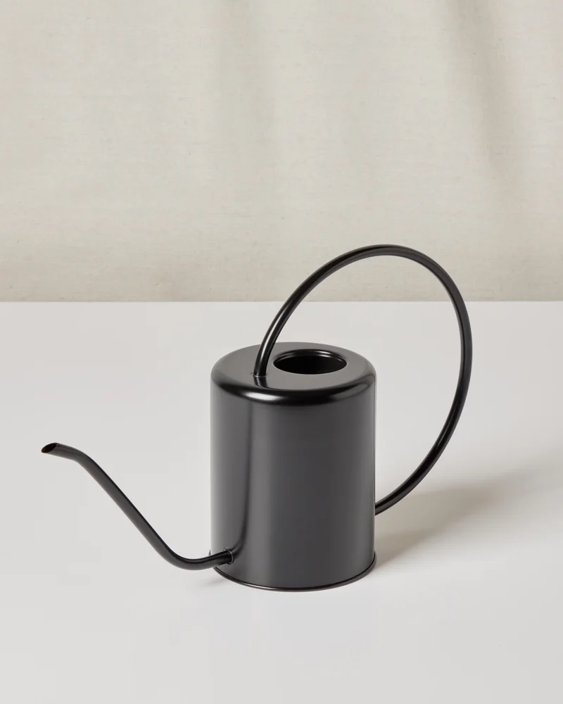 Image of Watering Can