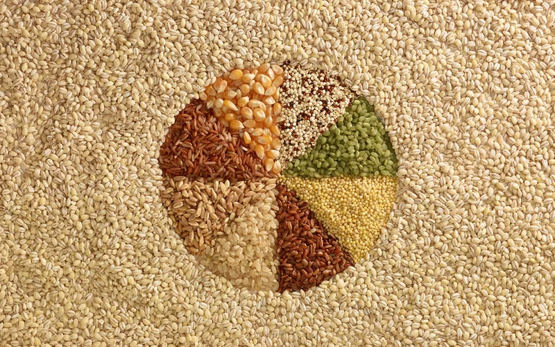 A variety of fiber-rich plant foods—such as fruits, vegetables, whole grains, nuts, and legumes—provide different types of fiber that interact with the gut in distinct ways, influencing digestion, immunity, and long-term health.