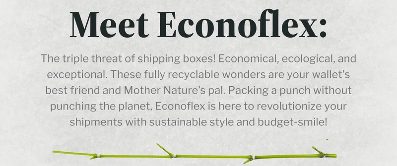 Meet Econoflex