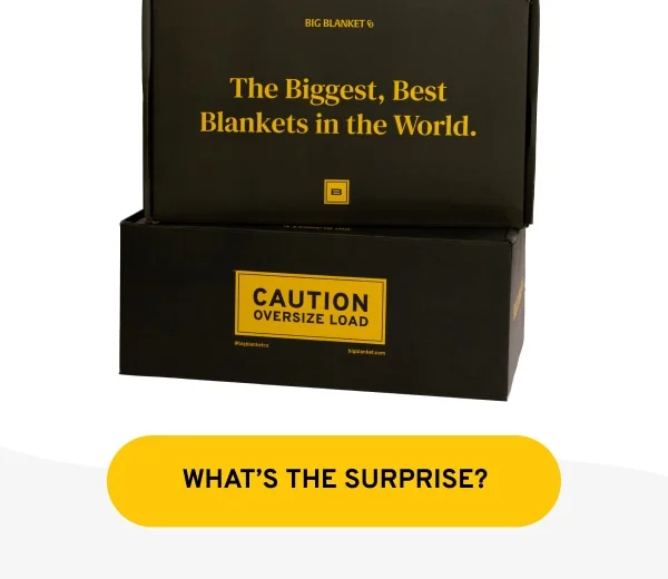 Surprise