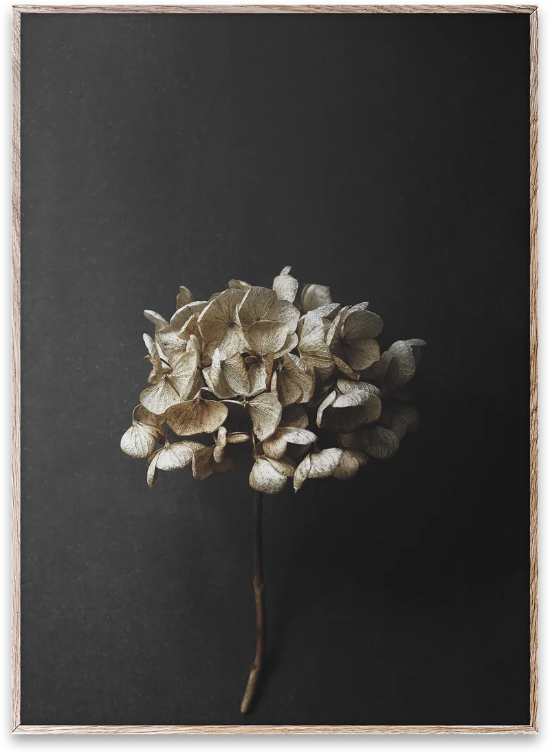 Still Life 04 by Pia Winther