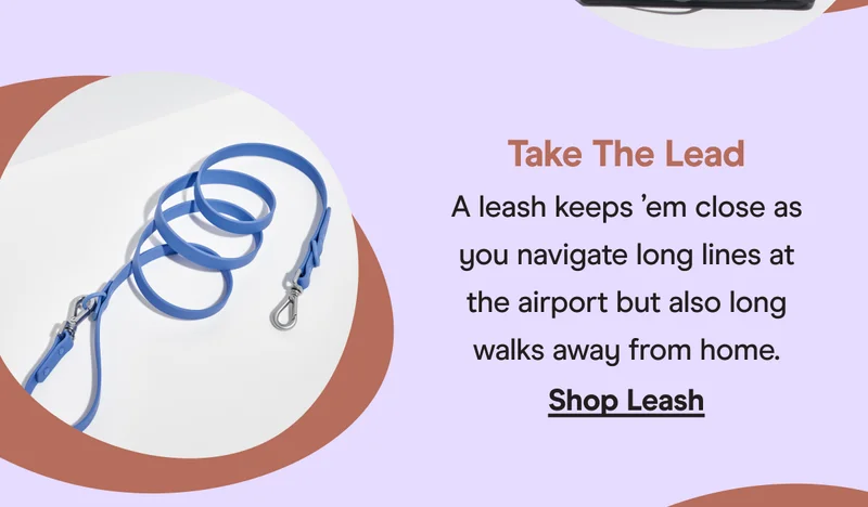 shop leash