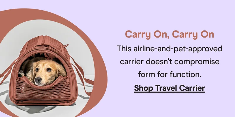 travel carrier